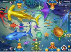 掌中彩welcome最新版